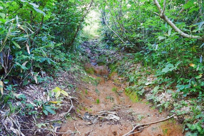 f:id:threepeaks:20190910223147j:plain