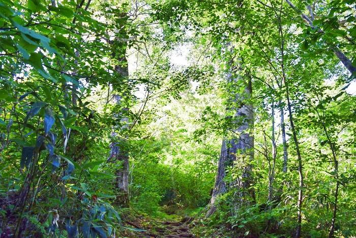 f:id:threepeaks:20190910223642j:plain