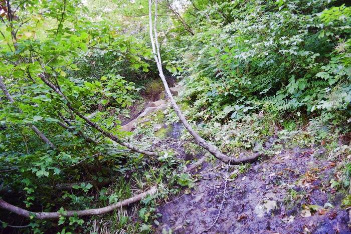 f:id:threepeaks:20190910223719j:plain