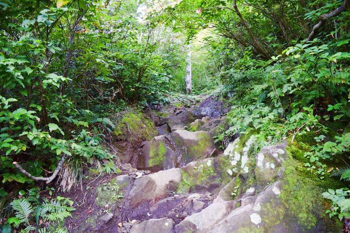 f:id:threepeaks:20190910223801j:plain