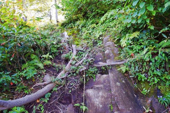 f:id:threepeaks:20190910224010j:plain