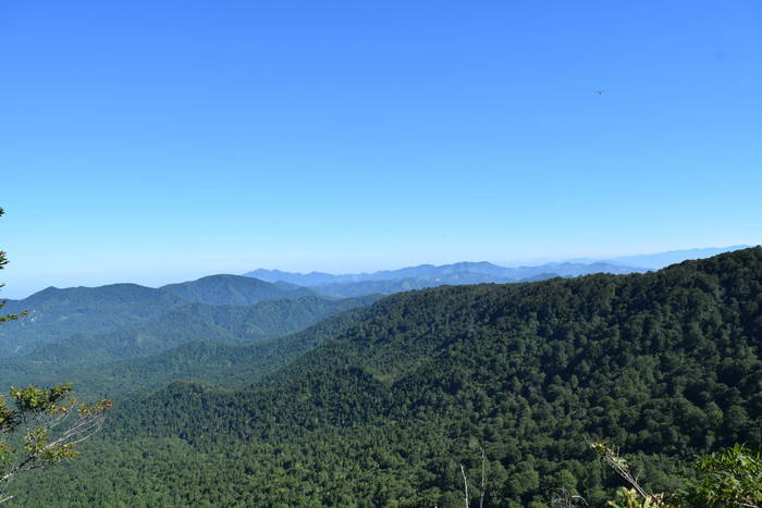 f:id:threepeaks:20190910224735j:plain