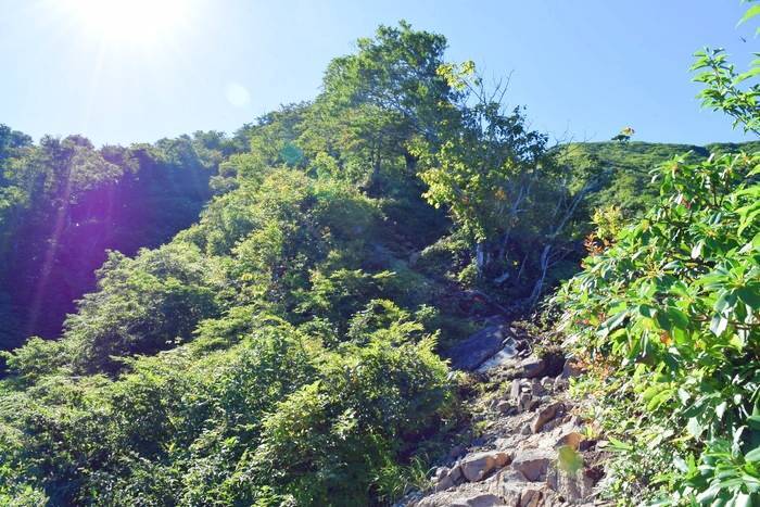 f:id:threepeaks:20190910224823j:plain