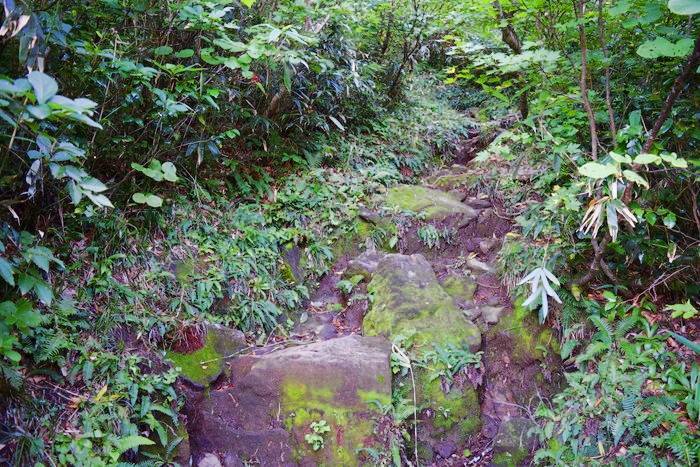 f:id:threepeaks:20190910224901j:plain