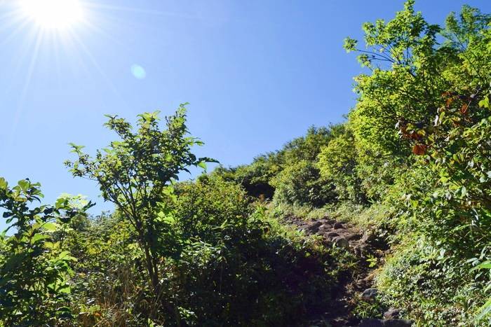 f:id:threepeaks:20190910225600j:plain