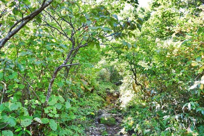 f:id:threepeaks:20190910225627j:plain