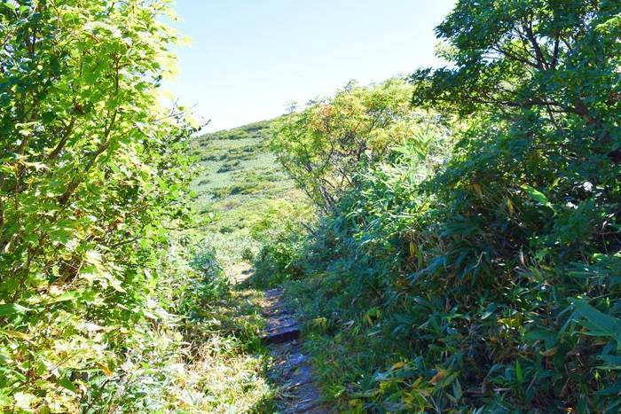 f:id:threepeaks:20190910230304j:plain