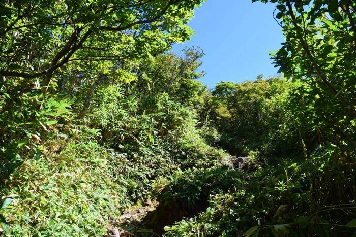 f:id:threepeaks:20190910232308j:plain