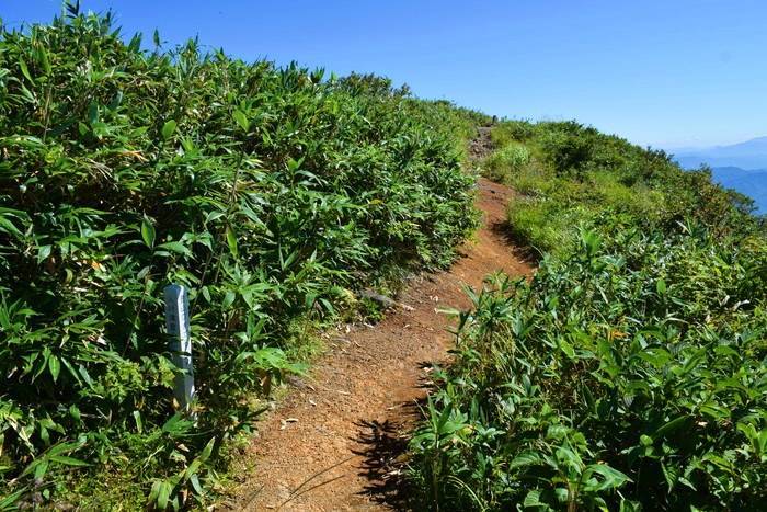 f:id:threepeaks:20190911133742j:plain