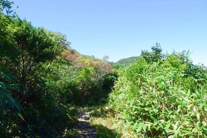 f:id:threepeaks:20190911164957j:plain