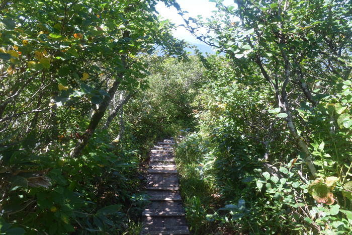 f:id:threepeaks:20190911183224j:plain