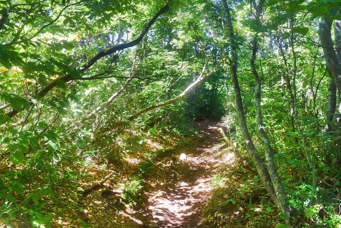 f:id:threepeaks:20190911183733j:plain