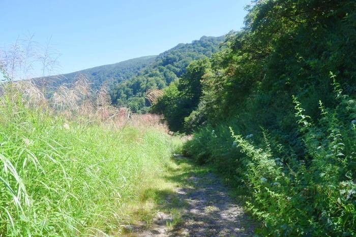 f:id:threepeaks:20190911183945j:plain