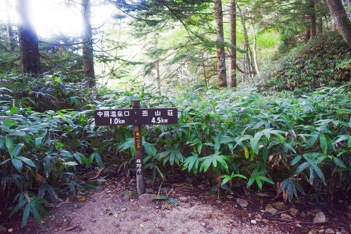 f:id:threepeaks:20190923002746j:plain