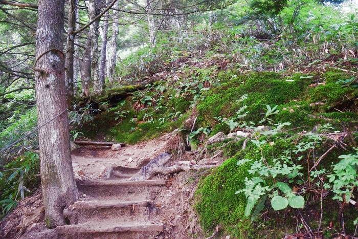 f:id:threepeaks:20190923002943j:plain