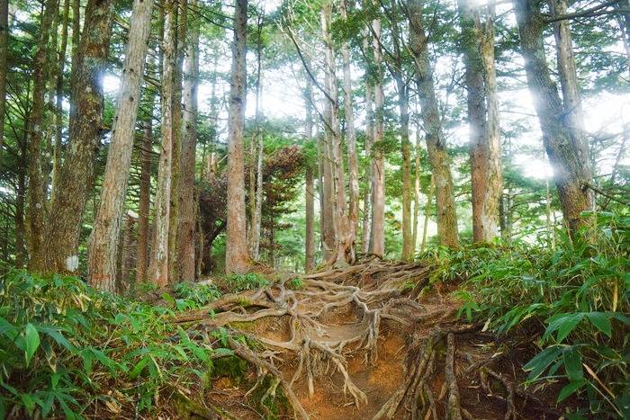 f:id:threepeaks:20190923003934j:plain