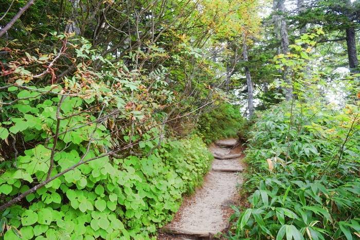 f:id:threepeaks:20190923005354j:plain