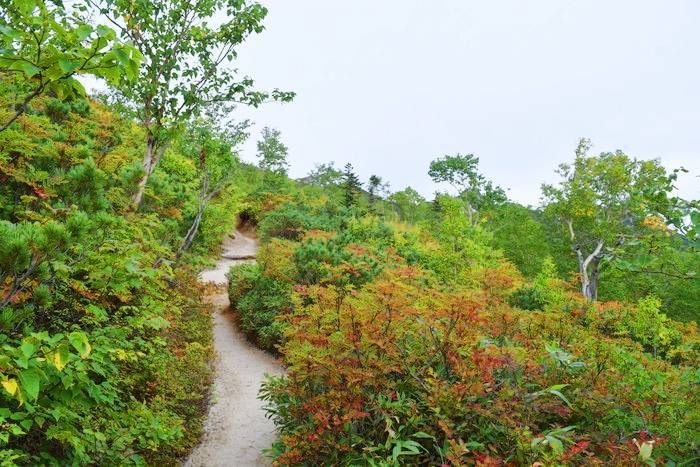 f:id:threepeaks:20190923011111j:plain