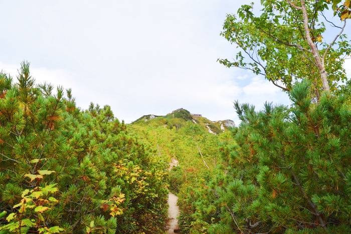 f:id:threepeaks:20190923011519j:plain