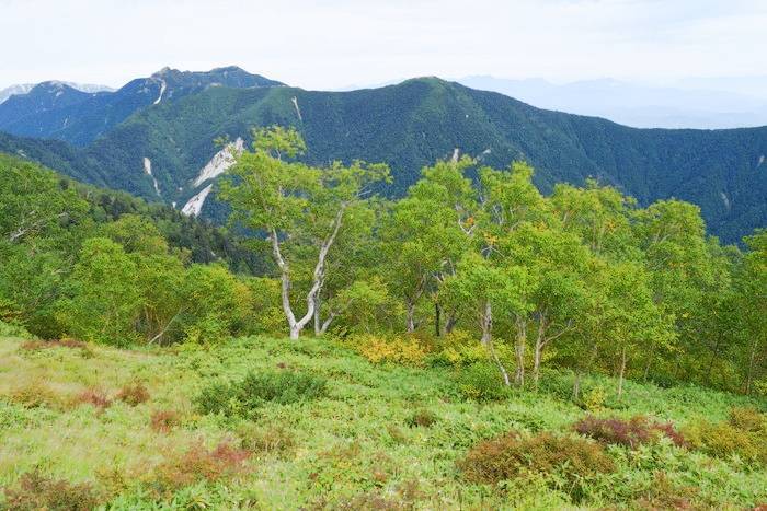 f:id:threepeaks:20190923025545j:plain