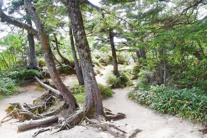 f:id:threepeaks:20190923025827j:plain