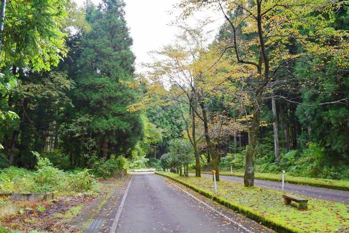 f:id:threepeaks:20191024175252j:plain