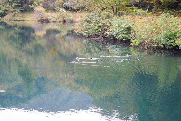 f:id:threepeaks:20191024175846j:plain