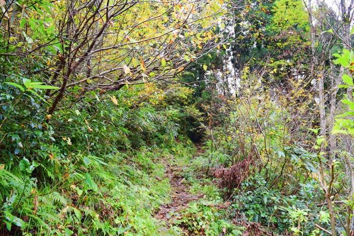 f:id:threepeaks:20191024180626j:plain