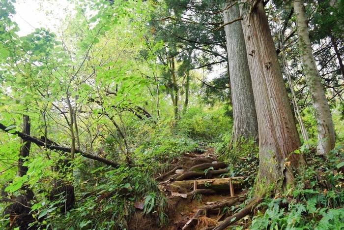 f:id:threepeaks:20191024180653j:plain