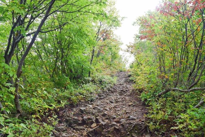 f:id:threepeaks:20191024181401j:plain