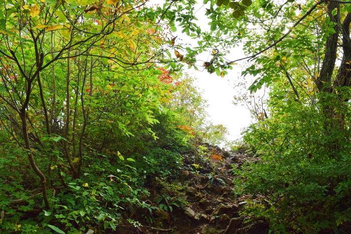 f:id:threepeaks:20191024181441j:plain