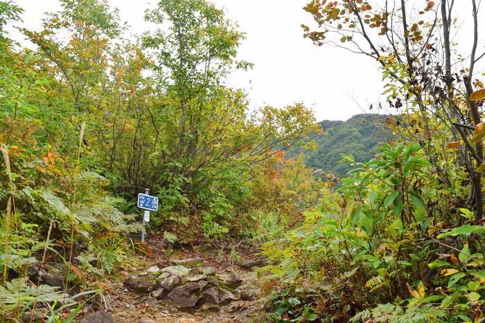 f:id:threepeaks:20191024181510j:plain