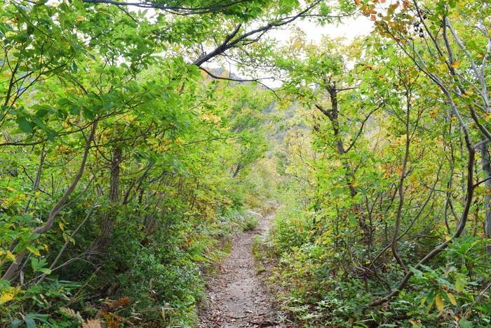 f:id:threepeaks:20191024181531j:plain