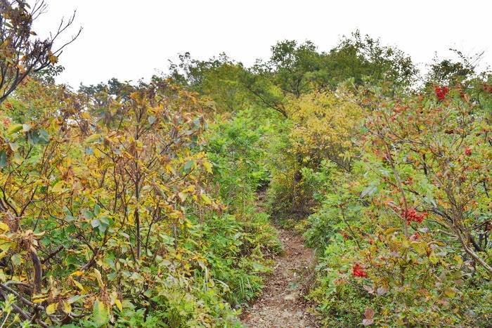 f:id:threepeaks:20191024182213j:plain