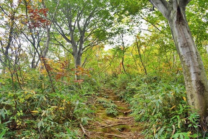 f:id:threepeaks:20191024182324j:plain