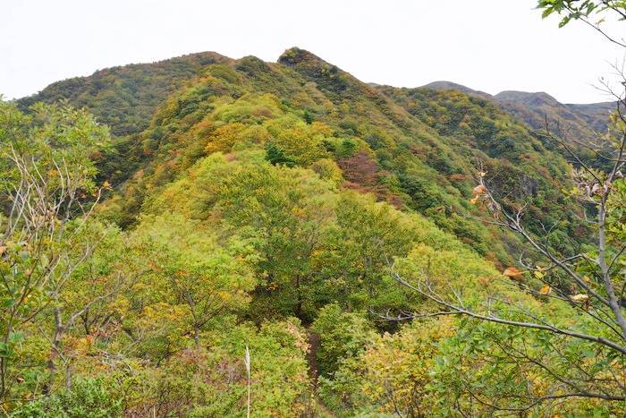 f:id:threepeaks:20191024182647j:plain