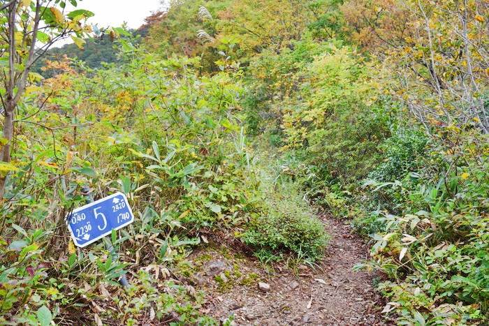 f:id:threepeaks:20191024182826j:plain