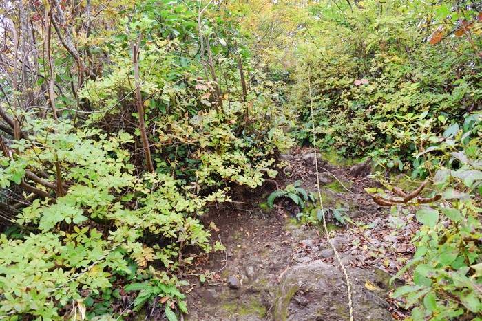 f:id:threepeaks:20191024183111j:plain