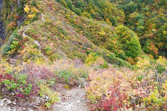 f:id:threepeaks:20191024184548j:plain