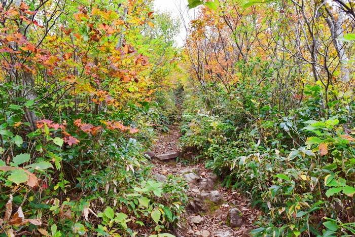 f:id:threepeaks:20191024185635j:plain