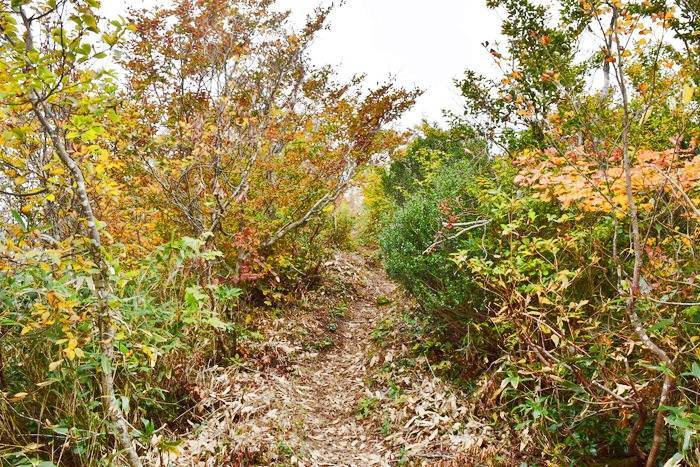 f:id:threepeaks:20191024190128j:plain