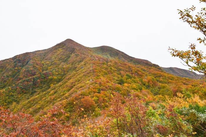 f:id:threepeaks:20191025202539j:plain