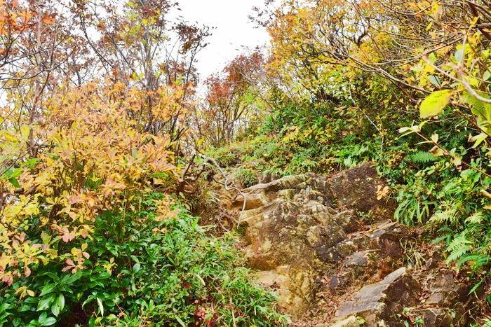 f:id:threepeaks:20191025202736j:plain