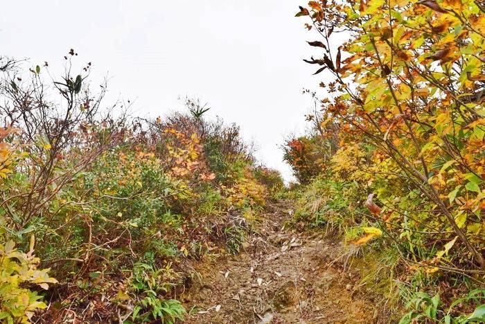 f:id:threepeaks:20191025202905j:plain