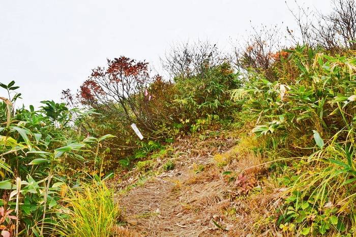 f:id:threepeaks:20191025203053j:plain