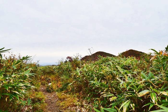 f:id:threepeaks:20191025203131j:plain