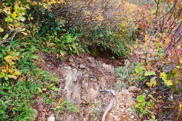 f:id:threepeaks:20191025210900j:plain