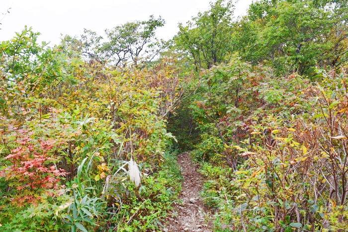 f:id:threepeaks:20191025212342j:plain