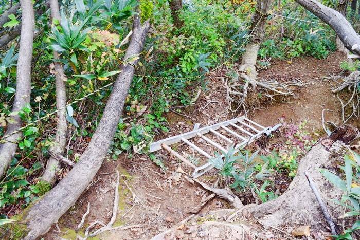 f:id:threepeaks:20191025212555j:plain