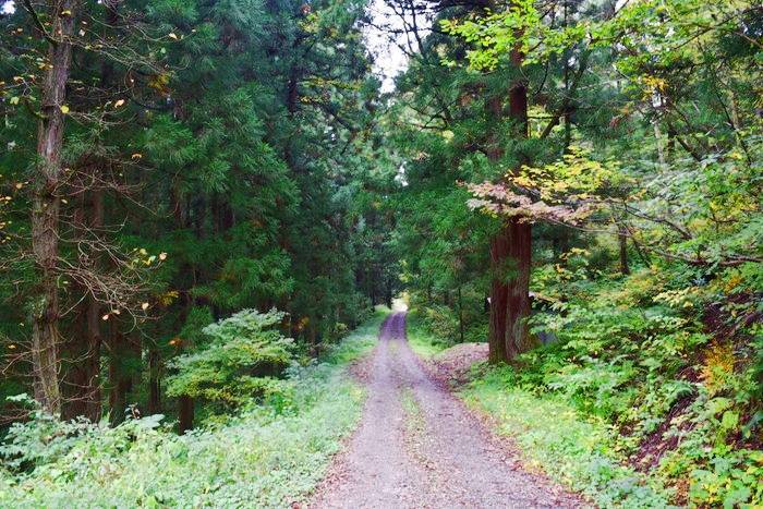 f:id:threepeaks:20191025212822j:plain